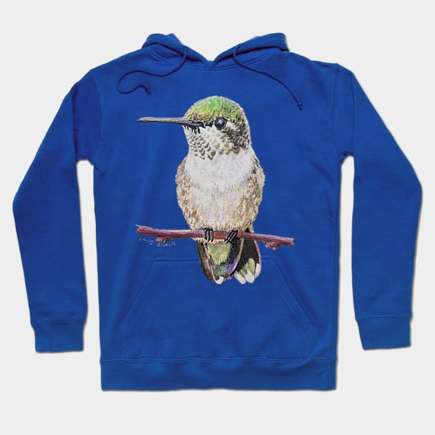 Perched Hummingbird Hoodie by EmilyBickell